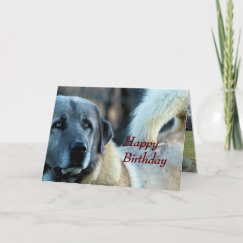 Achai Birthday Card_ customize any occasion Card