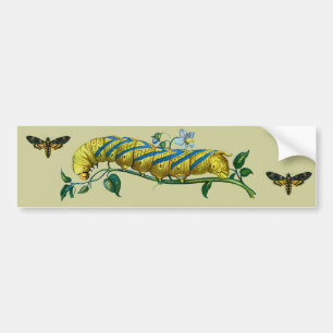 Acherontia atropos caterpillar, Acherontia atropos Bumper Sticker