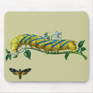 Acherontia atropos caterpillar, Acherontia atropos Mouse Pad