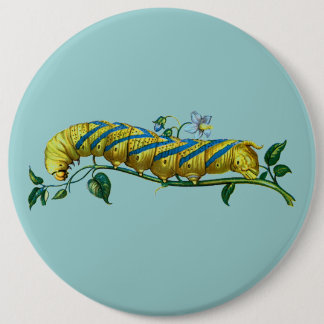 Acherontia atropos caterpillar button