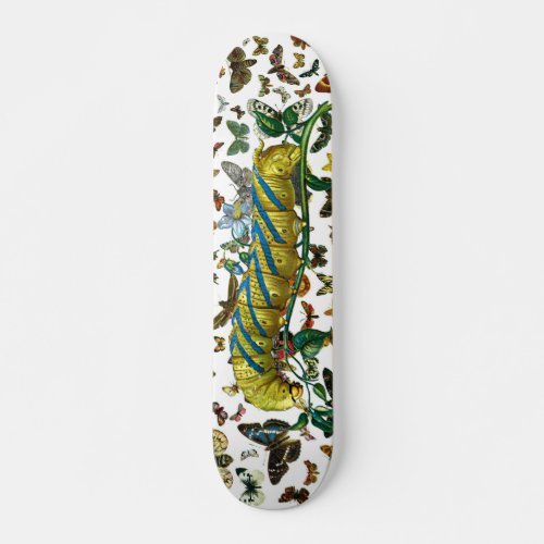 Acherontia atropos caterpillar skateboard
