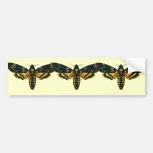 Acherontia atropos (Death's Head Hawkmoth) Bumper Sticker