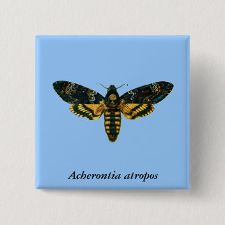 Acherontia atropos (Death's Head Hawkmoth) Button