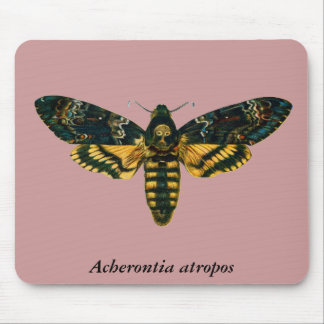Acherontia atropos (Death's Head Hawkmoth) Mouse Pad