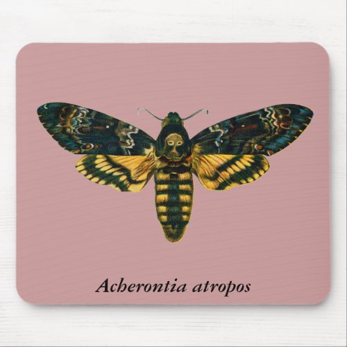 Acherontia atropos Deaths Head Hawkmoth Mouse Pad