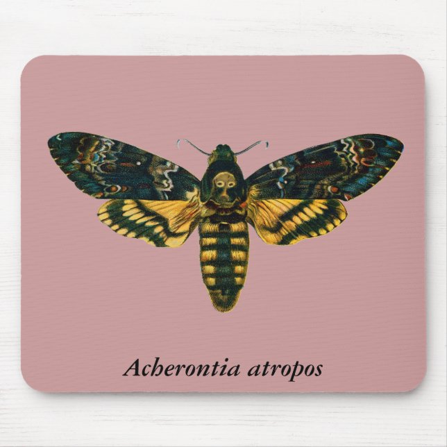 Acherontia atropos (Death's Head Hawkmoth) Mouse Pad (Front)