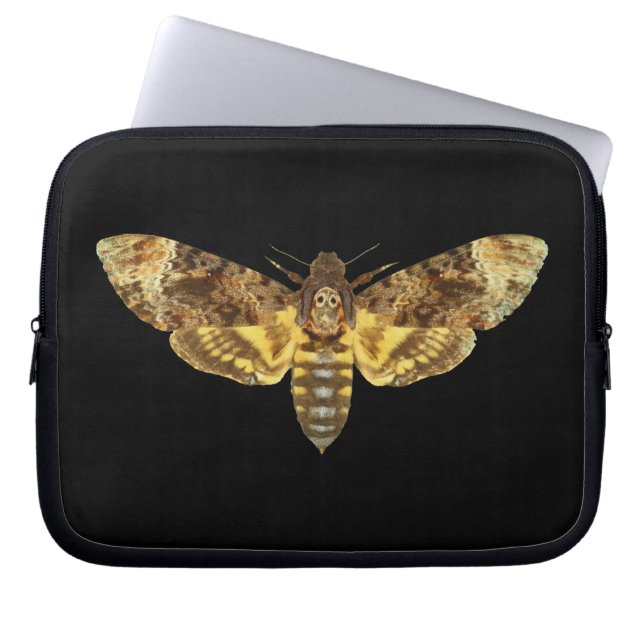 Acherontia Lachesis - Death's-head Hawkmoth Laptop Sleeve (Front)