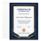 Achievement Appreciate Gold Blue Certificate 