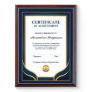 Achievement Appreciate Gold Blue Certificate  Award Plaque