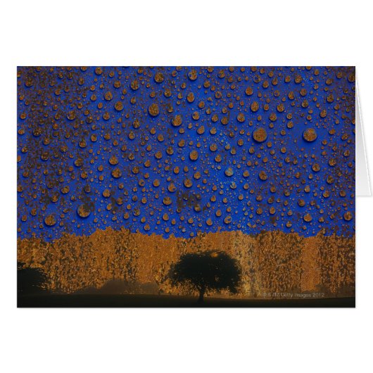 Acid rain & environmental pollution cards (Front Horizontal)