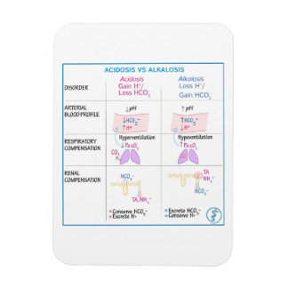 Acidosis vs Alkalosis Magnet