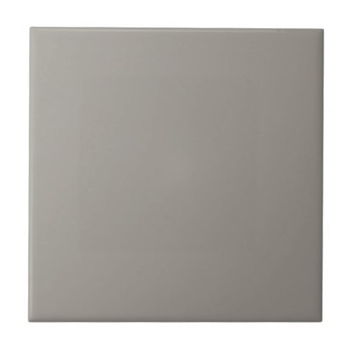 Acier Steel Gray Square Kitchen and Bathroom Ceramic Tile