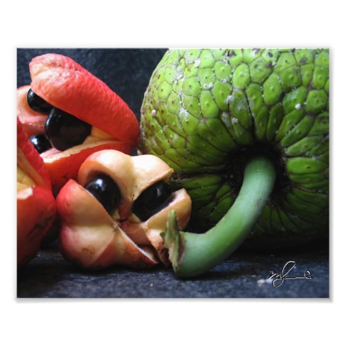 Ackee and Breadfruit Photo Print