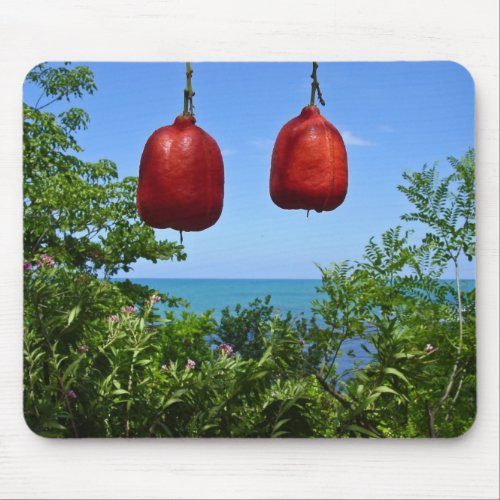 Ackee Mousepad