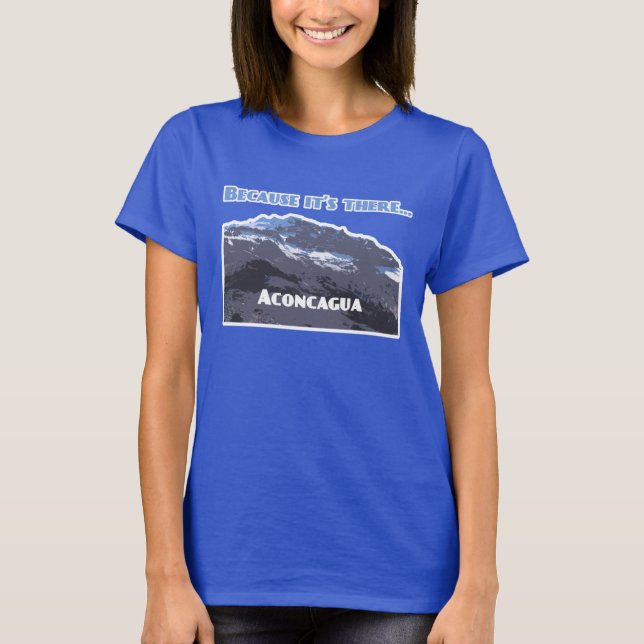 Aconcagua Mountain, because it's there T-Shirt (Front)