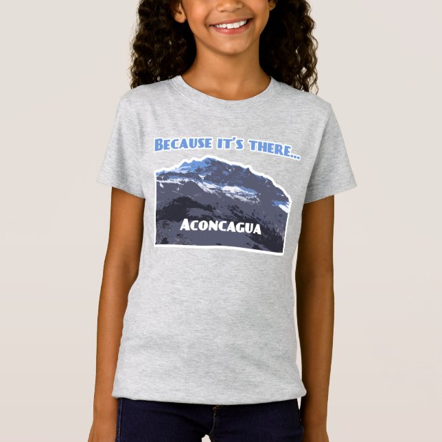 Aconcagua Mountain, because it's there T-Shirt (Front)