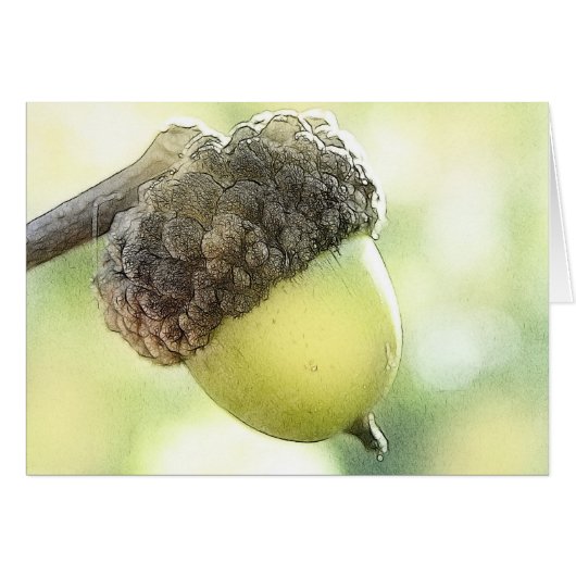 Acorn Cards (Front Horizontal)