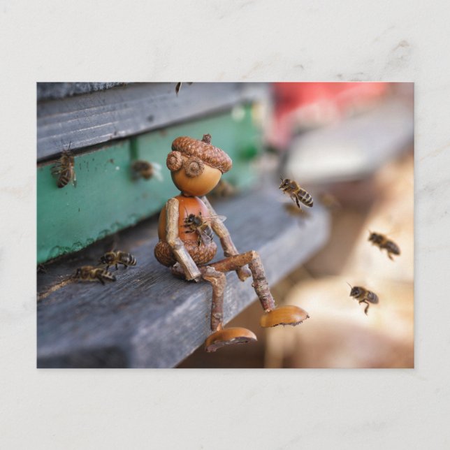 Acorn elf bee-keeper spring postcard (Front)