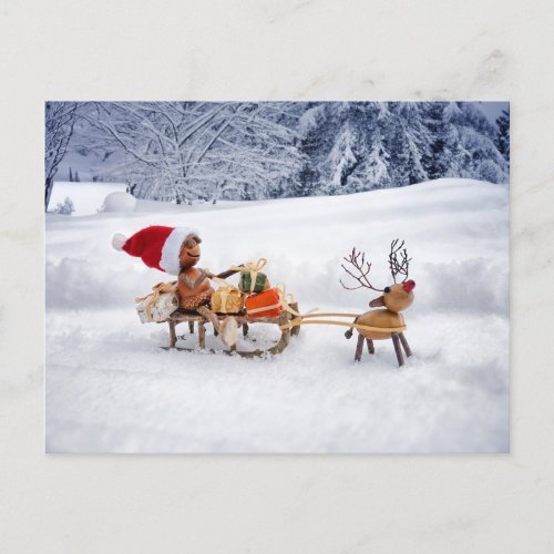 Acorn Elf brings presents like Santa Claus Postcard