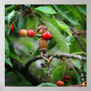 Acorn elf eating cherries on the tree summer poste poster
