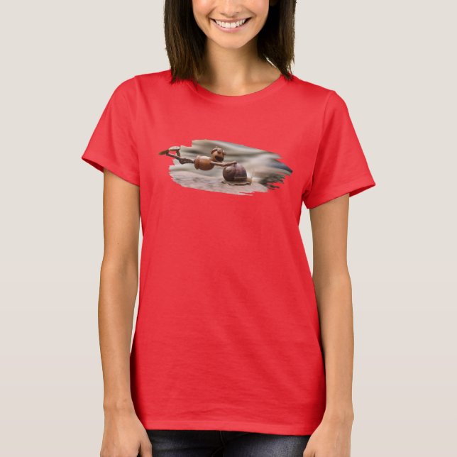 Acorn elf flying on the snail T-Shirt (Front)