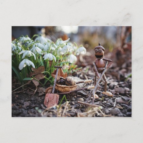 Acorn elf gardener with snowflake flower spring postcard