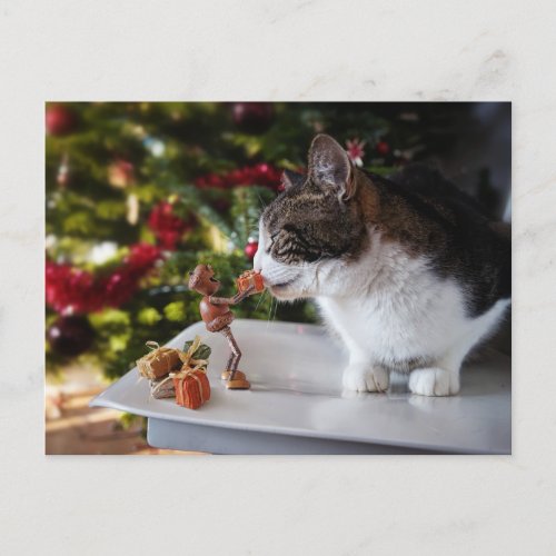 Acorn Elf gives Christmas present to cat Postcard