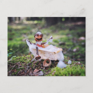 Acorn elf having a bath in the forest postcard
