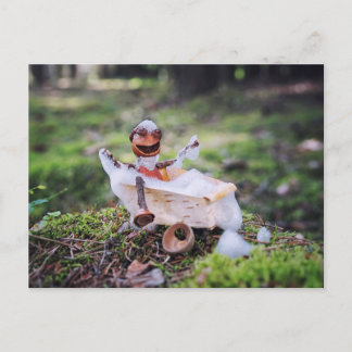 Acorn elf having a bath in the forest postcard