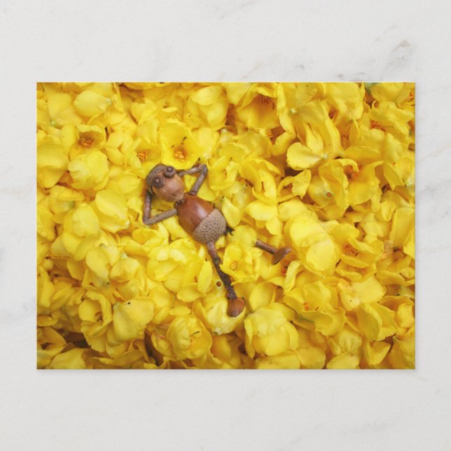 Acorn elf in the flower leaves postcard (Front)