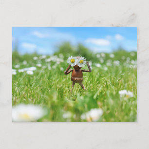 Acorn elf in the meadow with daisies - funny  postcard