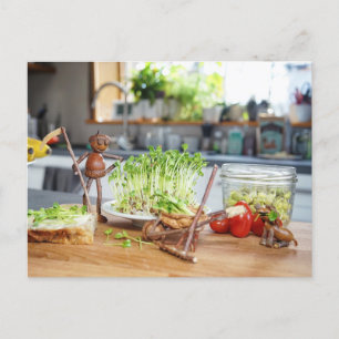 Acorn elf is harvesting green herbs in the kitchen postcard