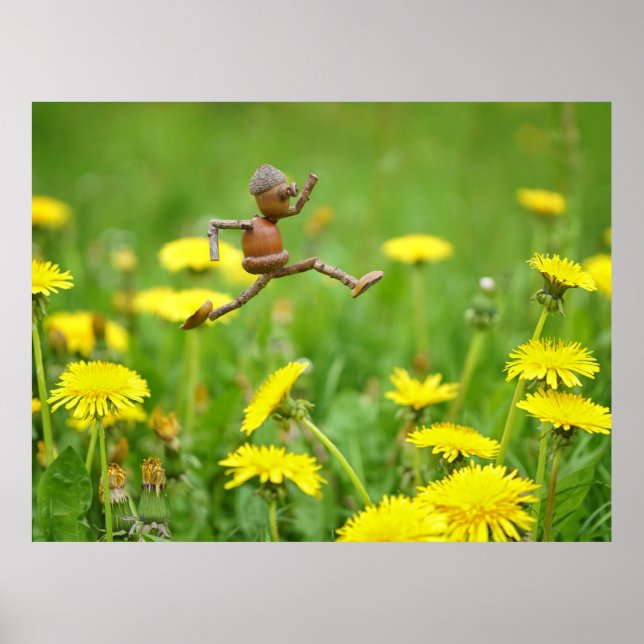 Acorn elf jumping on dandelions on the meadow post poster (Front)