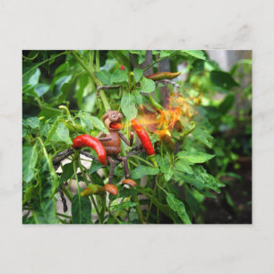 Acorn elf just tasted a spicy chili pepper postcard