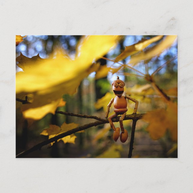 Acorn elf on a maple tree autumn  postcard (Front)