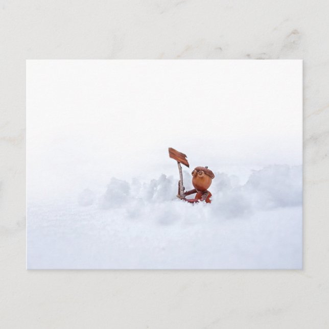 Acorn elf on a snow - winter postcard (Front)