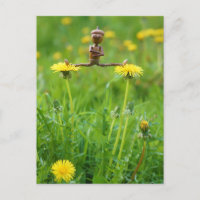 Acorn elf on dandelions on the meadow postcard