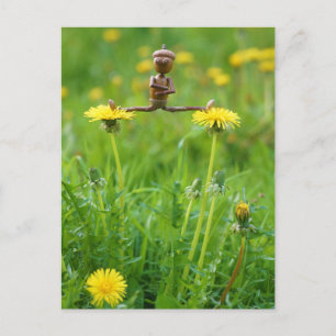 Acorn elf on dandelions on the meadow postcard