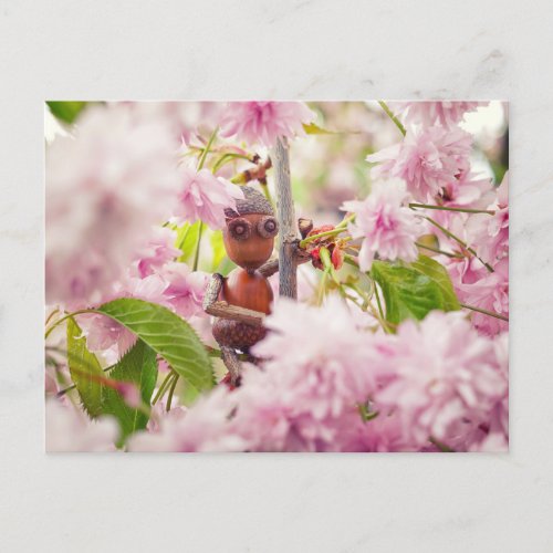 Acorn elf on the blossom sakura tree postcard