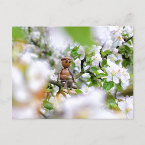 Acorn elf on the blossom tree postcard