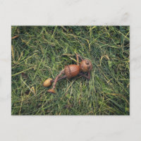 Acorn elf resting on hay