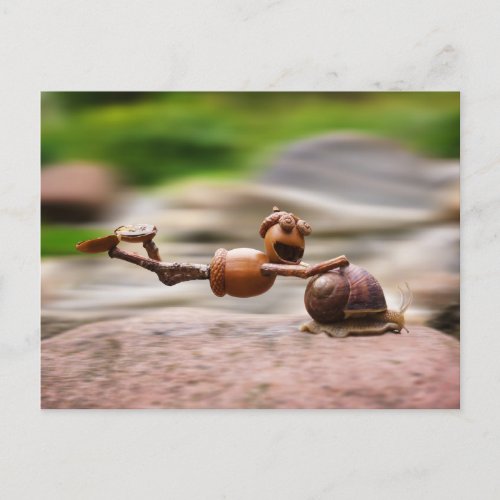 Acorn elf riding on the snail postcard