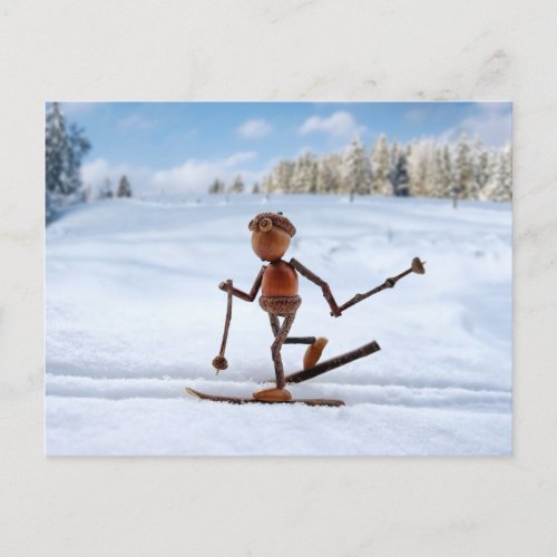 Acorn elf skiing on the snow winter postcard