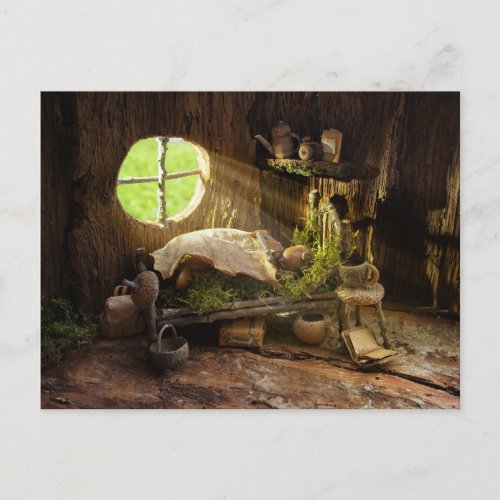 Acorn elf sleeping in his house postcard
