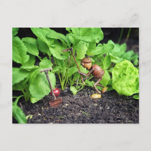 Acorn elf spring gardener postcard