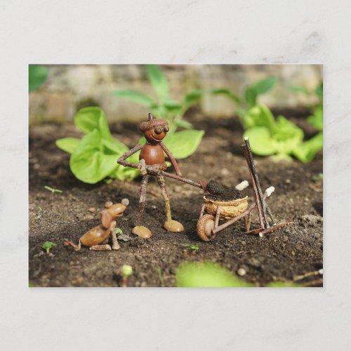 Acorn elf spring gardener postcard