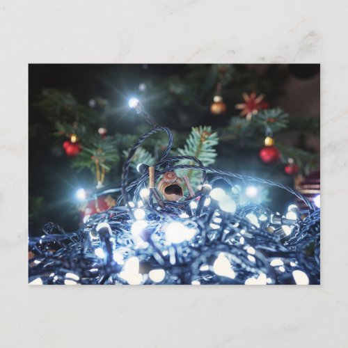 Acorn elf tangled in Christmas lights _ Christmas Postcard