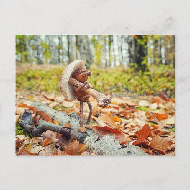 Acorn elf with a toadstool autumn  postcard (Front)