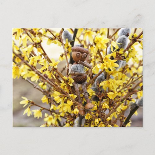 Acorn elf with catkins spring postcard