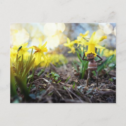 Acorn elf with daffodil flower spring postcard